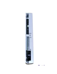 Module d'alarme Bitron an1174